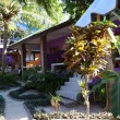 Kallapangha Bungalows – Koh Tao Mae Haad Bay Kallapangha Bungalows – Koh Tao Mae Haad Bay