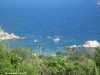 black-tip-dive049