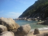 black-tip-dive062