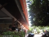 buddha-view-dive-resort49