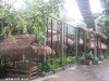 charm-churee-resort092