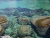 charm-churee-strand073
