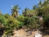 freedom-beach-resort43