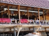 freedom-beach-resort45