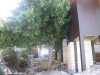 freedom-beach-resort63