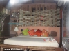 kohtao-cabana087