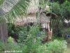 kohtao-cabana089