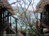 kohtao-cabana103