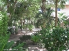 j-p-resort-foto49