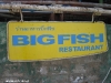 Kae Big Fish Resort Koh Tao Thailand 058