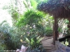 koh-tao-resort-foto090