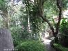 koh-tao-resort-foto093