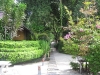 koh-tao-resort-foto100
