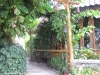 koh-tao-resort-foto132