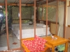 koh-tao-resort-foto146