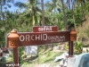 orchid-bungalows01