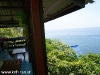 orchid-bungalows33