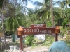 orchid-bungalows39