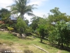 orchid-bungalows41