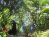 orchid-bungalows42