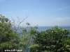 orchid-bungalows45