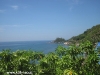 orchid-bungalows46
