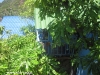 orchid-bungalows47
