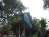 orchid-bungalows49