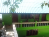 orchid-bungalows51