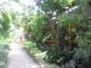 sunshine_1_bungalow-12