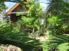 sunshine_1_bungalow-18