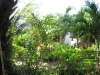 sunshine_Sunshine 1 Bungalow Resort, Koh Tao, Chalok Baan Kao,1_bungalow-20