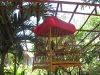 sunshine_1_bungalow-21