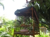sunshine_1_bungalow-22