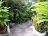 thipwimarn-resort107