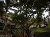 thipwimarn-resort134