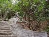 thipwimarn-resort152