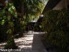 tropicana-resort050