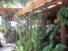 tropicana-resort083